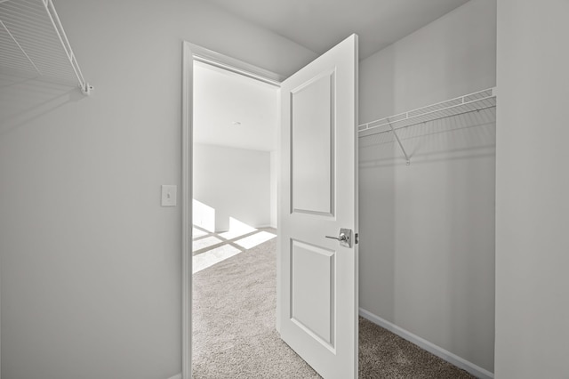 spacious closet featuring carpet