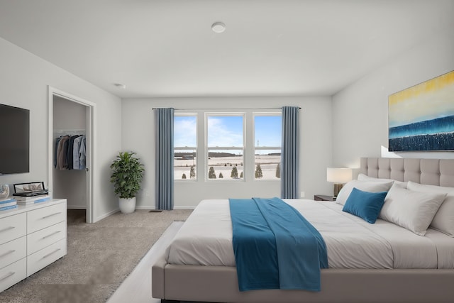 bedroom featuring carpet floors, a closet, a spacious closet, and baseboards