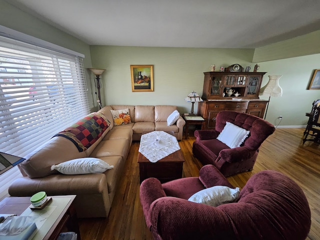 living room featuring dark wood-type flooring