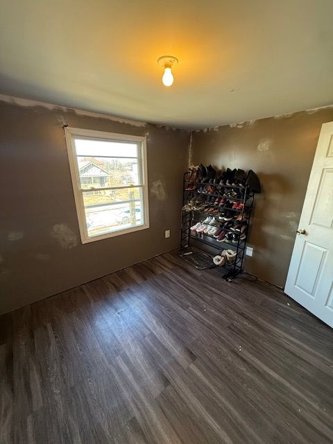 unfurnished room featuring dark wood-type flooring