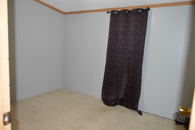 spare room featuring crown molding and carpet floors