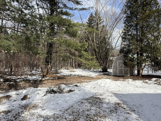 yard layered in snow with an outbuilding and a storage unit