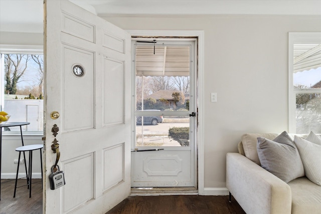 entrance foyer featuring dark hardwood / wood-style floors and a healthy amount of sunlight