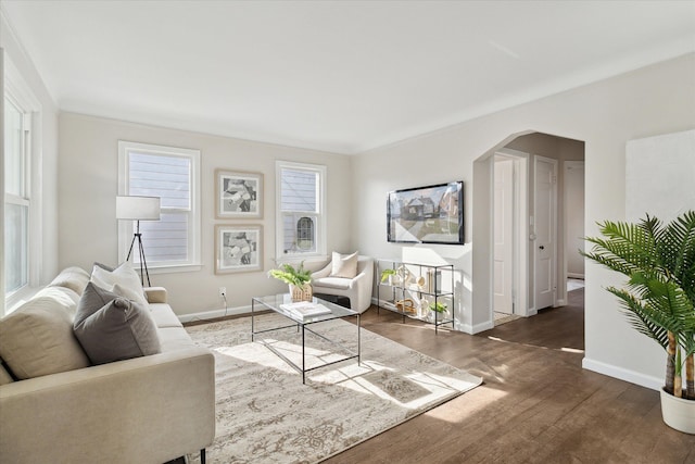 living room featuring dark hardwood / wood-style flooring