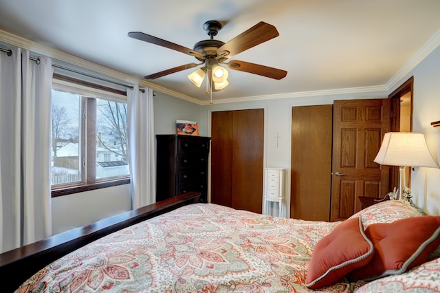 bedroom with crown molding, ceiling fan, and two closets