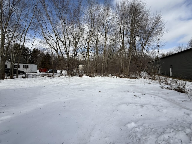 view of snowy yard