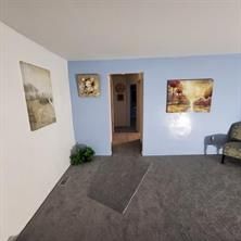 sitting room with dark carpet