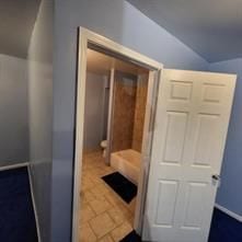 bathroom featuring vaulted ceiling and tile patterned floors