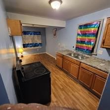 kitchen featuring sink and light hardwood / wood-style floors