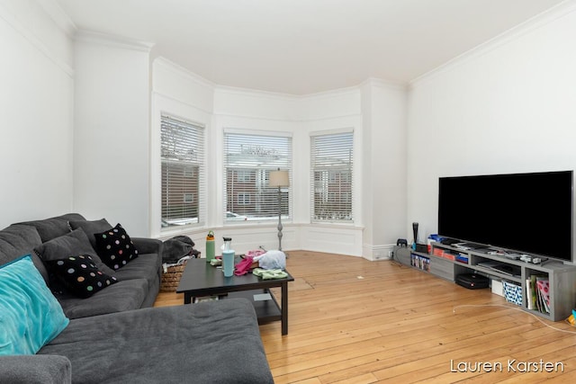 living room featuring hardwood / wood-style flooring and ornamental molding