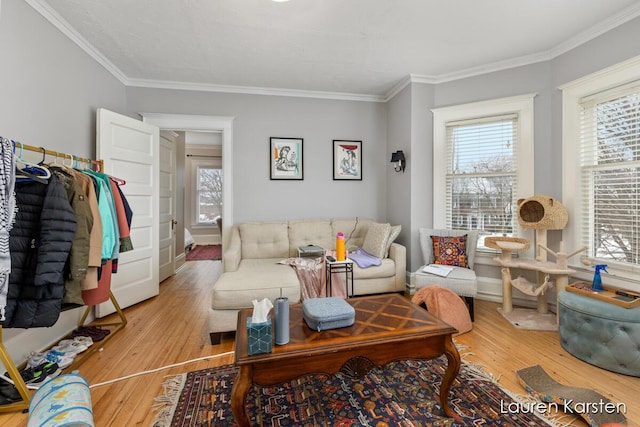 living room featuring ornamental molding and light wood-type flooring