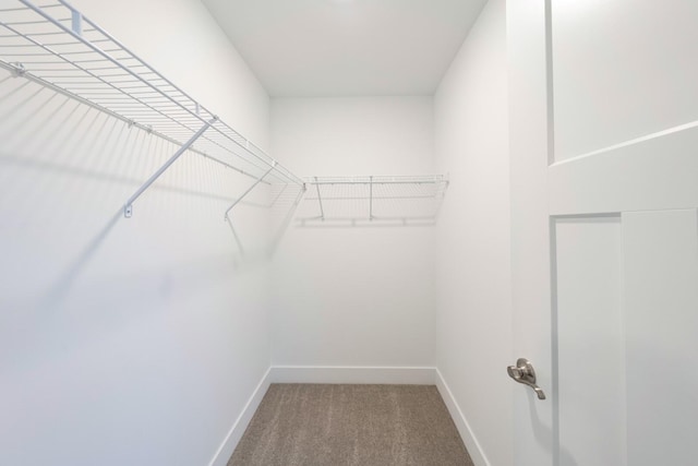 5090 Crandall Rd, Howell, MI 48855 - walk in closet with carpet floors