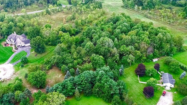8200 Pine Ridge Ct, Northville, MI 48168 - aerial overview of property's location