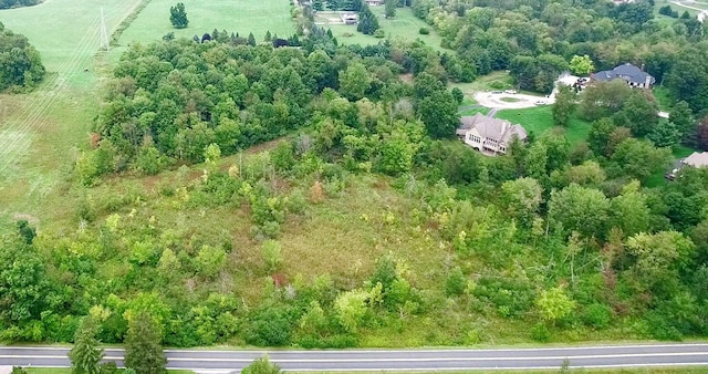 8200 Pine Ridge Ct, Northville, MI 48168 - drone / aerial view