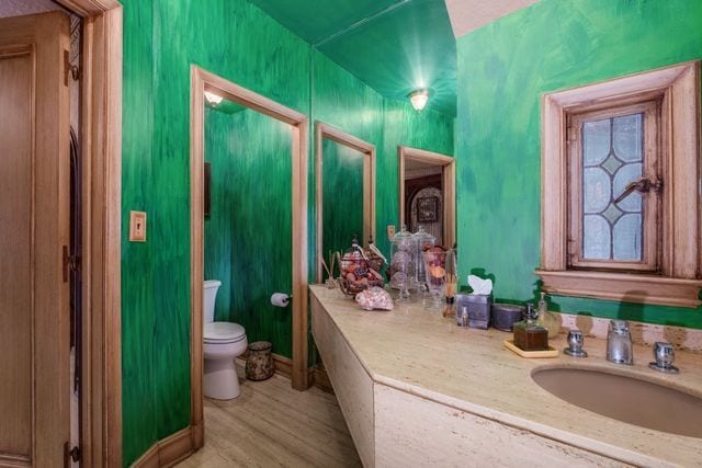 bathroom featuring vanity, hardwood / wood-style floors, and toilet