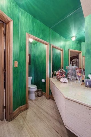 bathroom with wood-type flooring and toilet