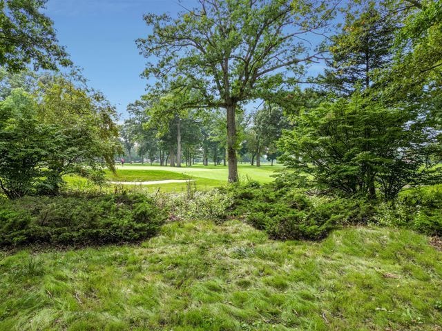 view of home's community featuring a yard