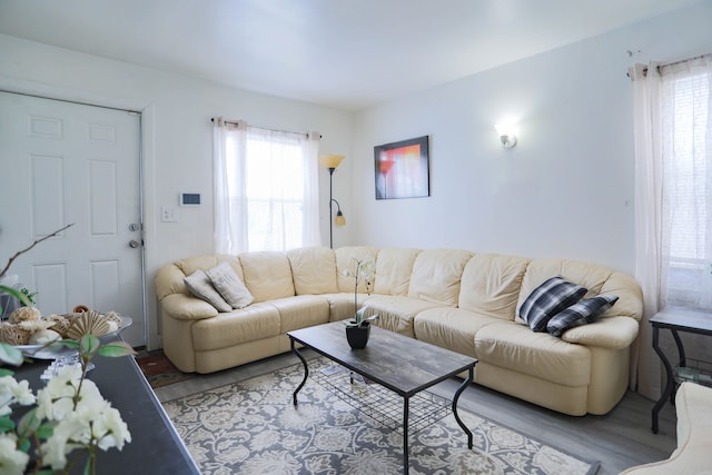 living room featuring a wealth of natural light and light hardwood / wood-style floors