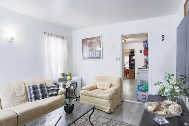 living room with light hardwood / wood-style flooring