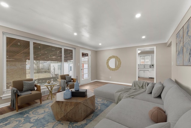 living room featuring wood-type flooring