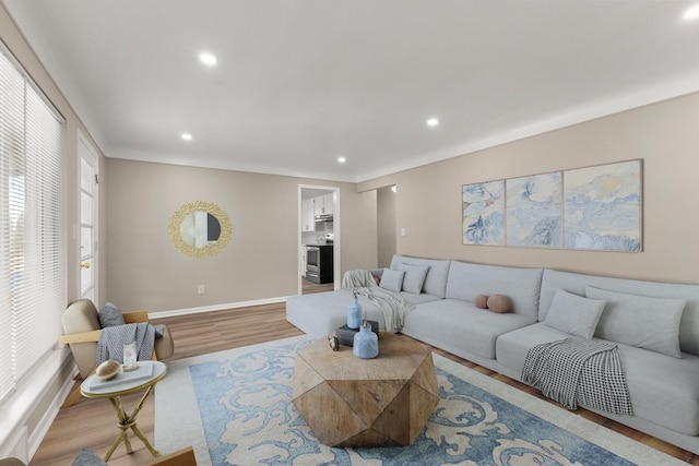 living room featuring light hardwood / wood-style flooring