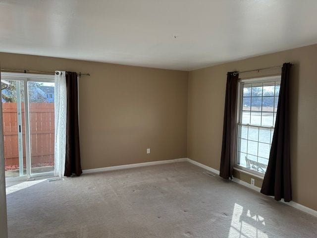 empty room featuring light colored carpet and a healthy amount of sunlight