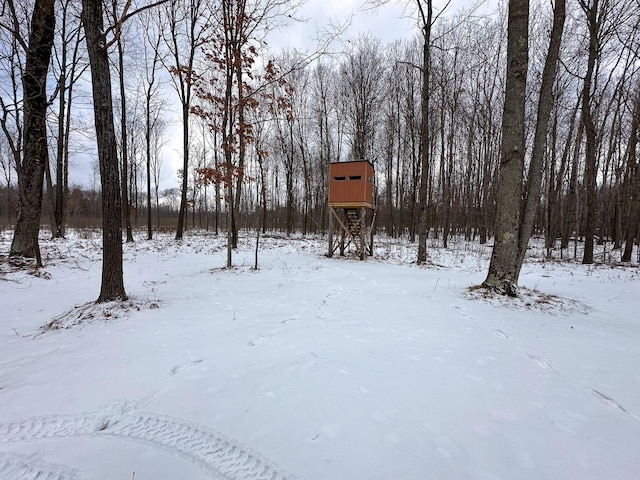 view of yard layered in snow