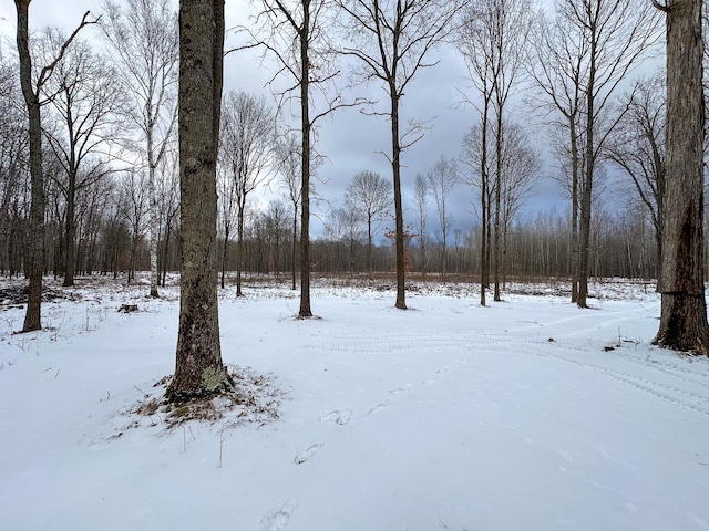 view of yard layered in snow