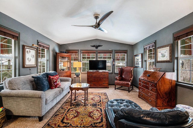 carpeted living room with ceiling fan and lofted ceiling