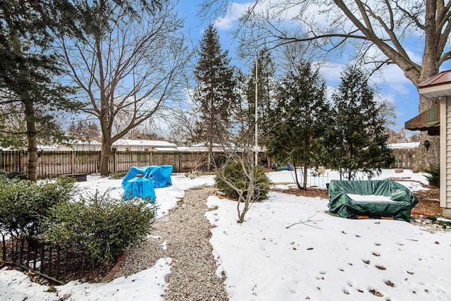 view of yard covered in snow