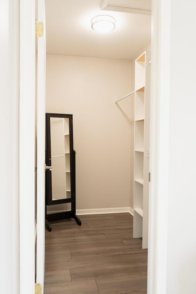 walk in closet with dark hardwood / wood-style flooring