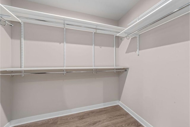 spacious closet featuring wood-type flooring