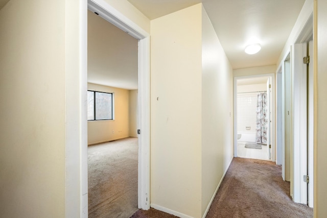 26889 Farmbrook Villa Dr, Southfield, MI 48034 - hallway featuring carpet floors