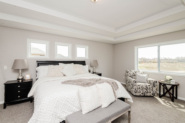 53188 Woodland Mdws, Chesterfield, MI 48047 - bedroom featuring carpet, baseboards, and a tray ceiling