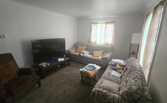 view of carpeted living room