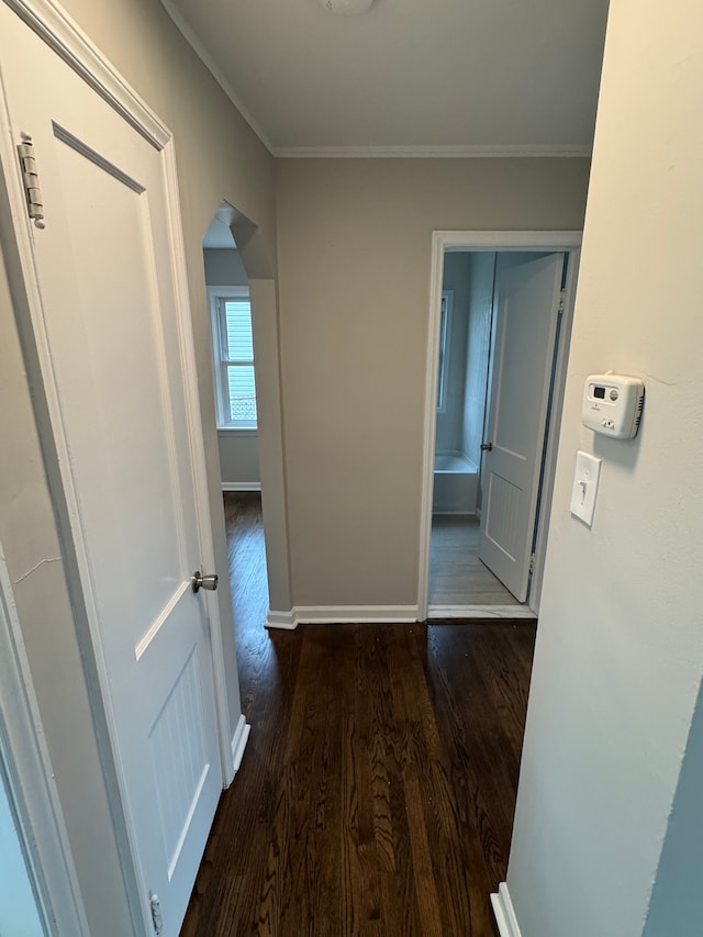 hallway with ornamental molding and dark wood-type flooring