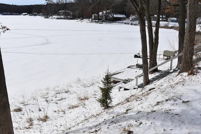 view of yard covered in snow