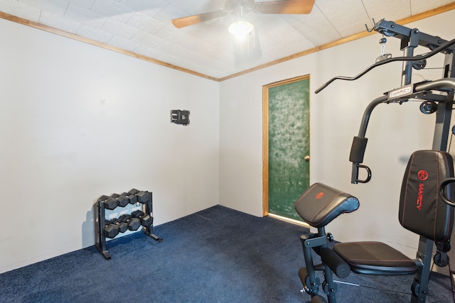 exercise area featuring carpet floors, ornamental molding, and ceiling fan