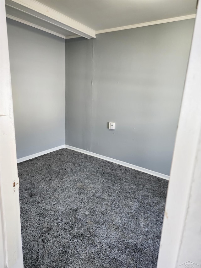 unfurnished room with carpet flooring