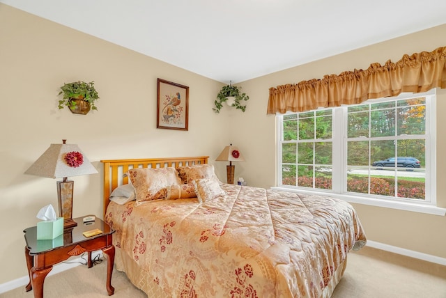 bedroom with multiple windows and light carpet