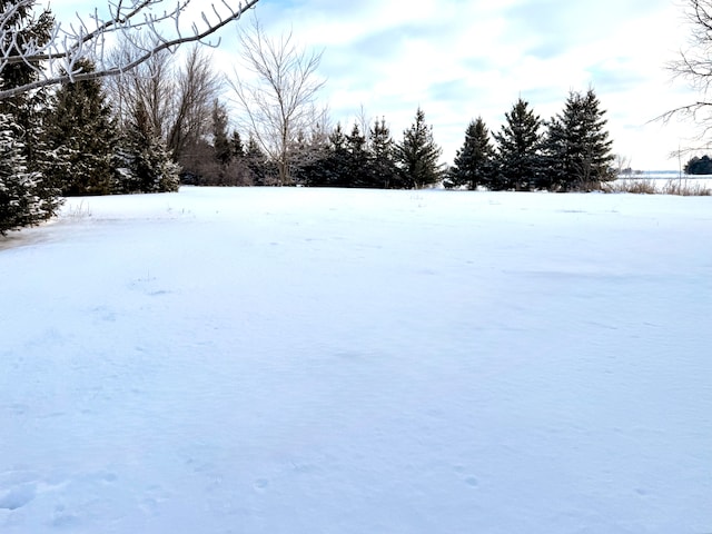 view of yard covered in snow