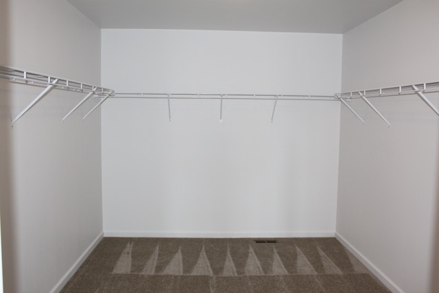 walk in closet with dark colored carpet