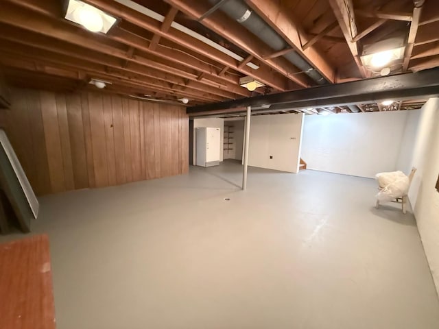 basement with wooden walls