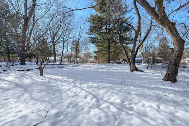 view of yard covered in snow