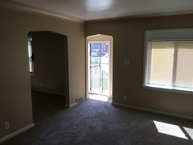 carpeted spare room featuring a wealth of natural light