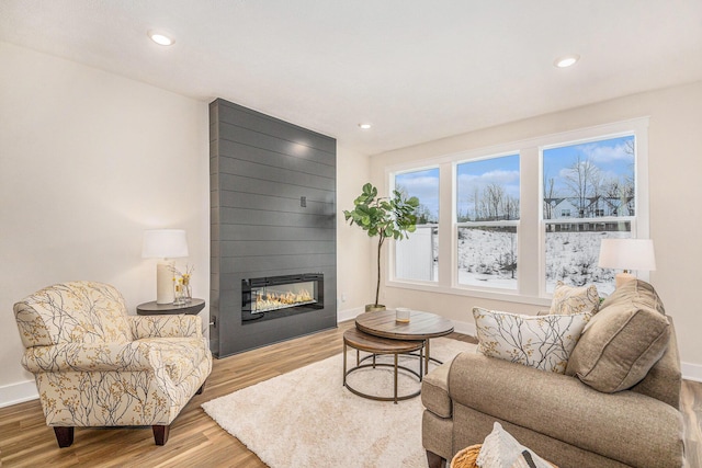 living room featuring wood-type flooring and a large fireplace