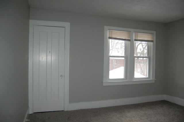 interior space with carpet flooring