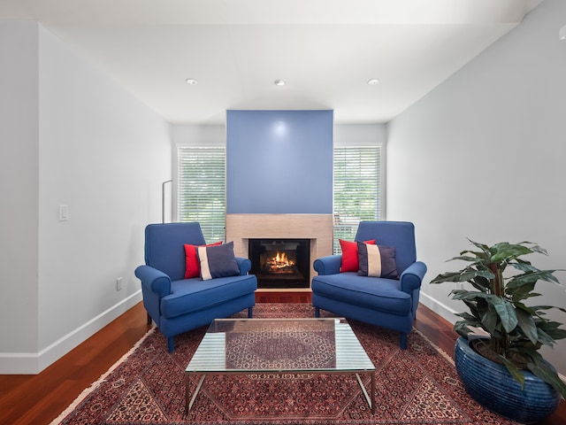 living room featuring dark hardwood / wood-style floors