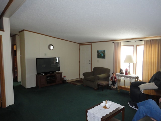 carpeted living room with ornamental molding, lofted ceiling, and a textured ceiling