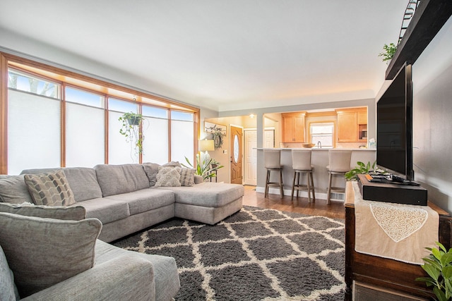 living room with dark hardwood / wood-style flooring